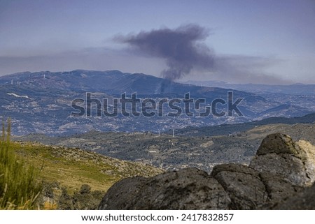Picture of a forest fire with rising smoke from a great distance during daytime