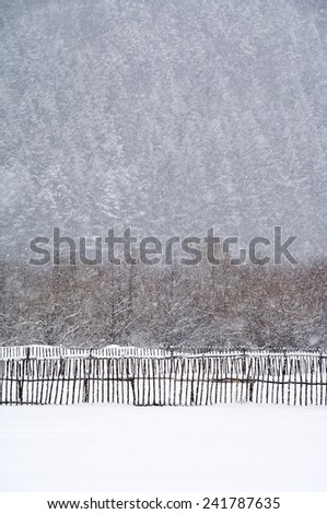 Blizzard winter landscape
