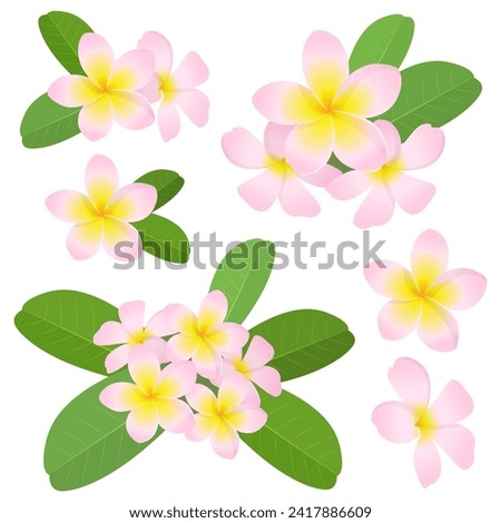 Plumeria pink set vector illustration Royalty-Free Stock Photo #2417886609