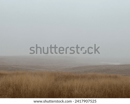 Picture of the foggy Oklahoma countryside landscape.