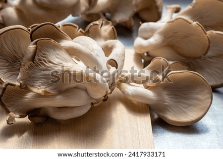 Oyster mushrooms, peeled and chopped by hand. Pleurotus ostreatus. Oyster mushrooms for cooking mushroom soup. Royalty-Free Stock Photo #2417933171