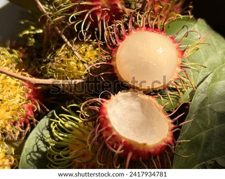 A rambutan (Nephelium lappaceum) is a tree from southeast Asia