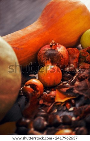 Autumn frame background. A table of autumn fruits. The fruits of autumn. Pumpkins, pomegranates, chestnuts, apples