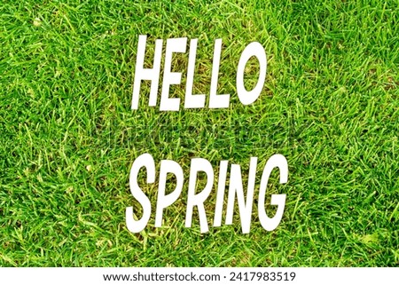 Hello Spring springtime, green spring background. The beginning of the season. Selective focus