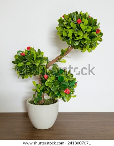 A pot with pink flowers and green leaves against a white background. The composition exudes delicate harmony, bringing freshness and joy. The contrast of colors emphasizes floral beauty Royalty-Free Stock Photo #2418007071