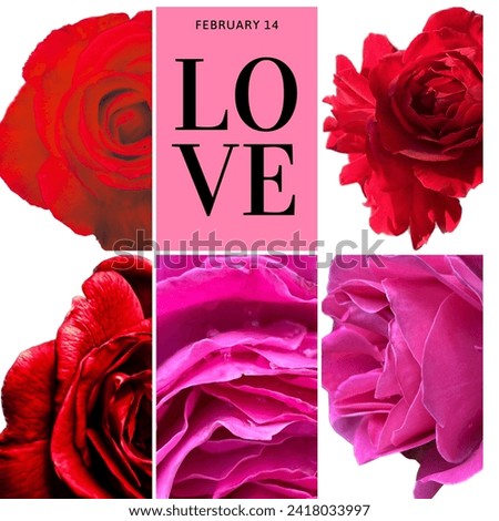 Love is Love Red rose collage