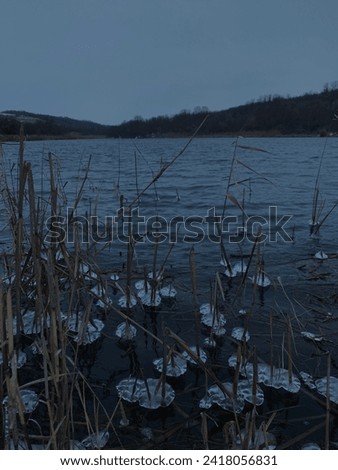 Countryside. Winter pond. Pieces of ice on dry reeds. Winter landscapes. Quiet picture. Peace and quiet. The beauty of nature.