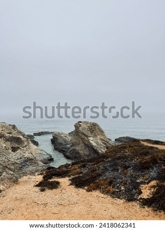 Rocky ocean coast, mist and fog at the ocean bay, rocks at the ocean coast, impressive