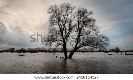 The flooded floodplains and the many hiking trails during weeks of heavy downpour, near the rain river IJssel in the province of Overijssel, the Netherlands Royalty-Free Stock Photo #2418114327
