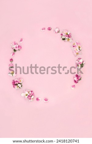 Apple blossom flower wreath for Spring and Beltane. Design for Springtime, Easter, Mothers Day, birthday for card, logo, gift tag or invitation on pink background.