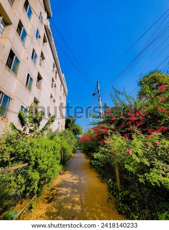 A flower Garden road by the building picture HD 