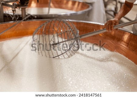 parmigiano reggiano hard grate cheese industrial production cooking process plant high res image