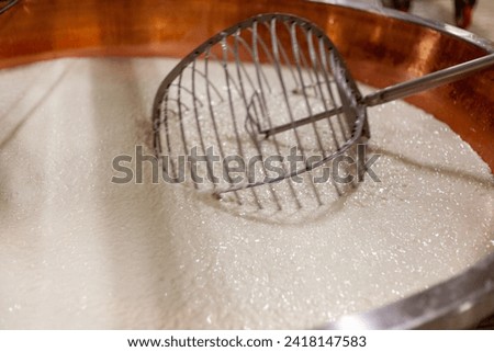 parmigiano reggiano hard grate cheese industrial production cooking process plant high res image