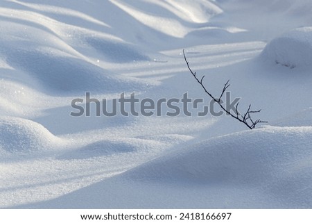 Abstract picture with snowdrifts and a branch.