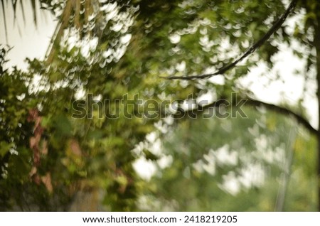 beautiful green leaf bokeh background