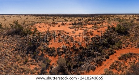 An iconic image: the Australian outback's red sand dune, sculpted by time and wind, stands as a vivid testament to the rugged beauty of the vast, sun-kissed landscape