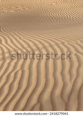 Desert sands Dubai beautiful sand picture