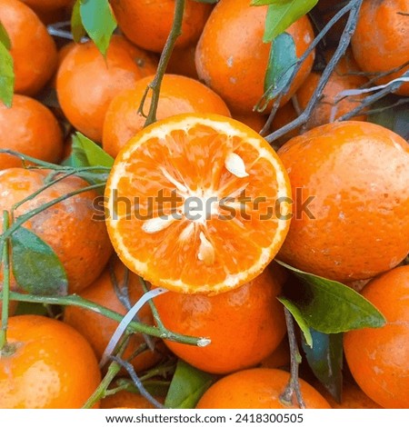 Orange cut fruit, orange, citrus, fresh, background, juicy, isolated, food, slice, ripe, organic, sweet, juice healthy, vitamin, cut, half, natural close up with leaf 
