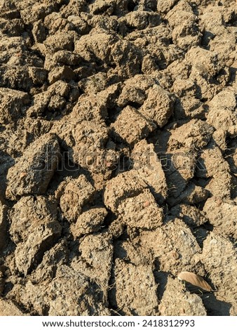 Cracked Earth: A Portrait of Aridity. Soil clods or dirt clumps. It shows the effects of aridity or drought on the soil, reflecting the environmental challenges of water scarcity and soil degradation. Royalty-Free Stock Photo #2418312993