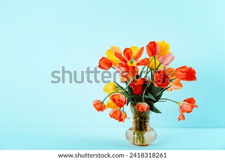 Big flowers bouquet of colorful tulips in vintage glass vase on blue color background. Copy space. Business card. Invitation postcard. Greeting text place. International holiday. Banner. Hello spring.