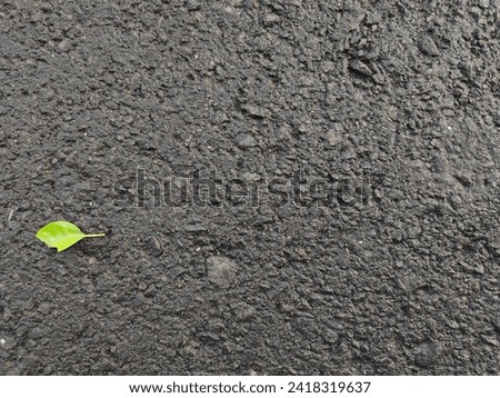 Top view of dark grey asphalt road surface texture background with green leaf on it
