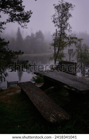 magical fairy tail dark forest in rainy day Norway