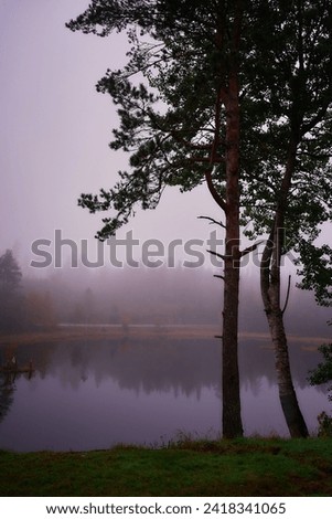 magical fairy tail dark lake in rainy day Norway