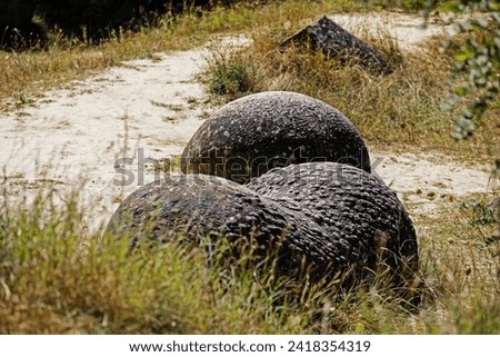 Petrified sand. Stone with beautiful zoomorphic shape.