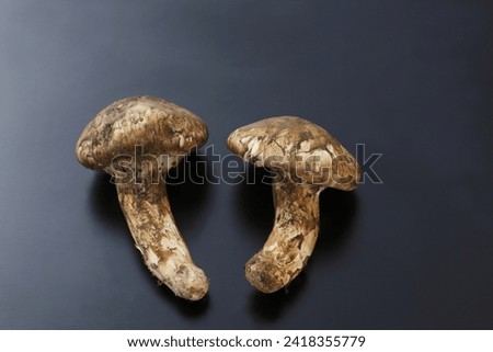 Matsutake Mushrooms: Matsutake mushrooms are highly prized in Japanese and other Asian cuisines. They grow in specific forest ecosystems and are difficult to cultivate, making them rare and expensive.