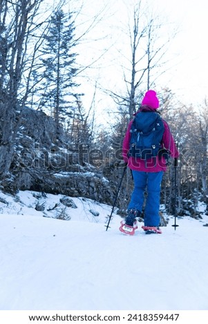 woman walking with snowshoes in the mountain, with poles and warm clothing. view from behind