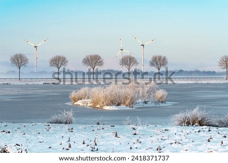the biotope Kleipütte in Brake Unterweser (Germany) on a misty and sunny winter morning - wind turbines can be seen in background