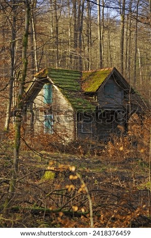 A log cabin in the forest looks like a witch's house. Royalty-Free Stock Photo #2418376459