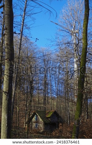 A log cabin in the forest looks like a witch's house. Royalty-Free Stock Photo #2418376461