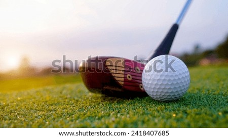 Close up old golf club and golf ball on green grass with sunset background. Golf ball and wooden driver on green grass background.                                