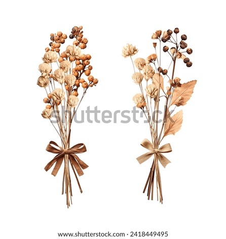 Set of bouquets of dried flowers and twigs with berries, tied with a burlap bow. Collection of dry pressed leaf and flower. Nostalgic scrapbooking kit. Isolated on white background Royalty-Free Stock Photo #2418449495