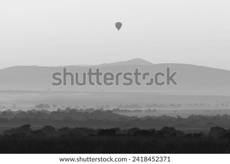 black and white picture of a hot air balloon over the savannah