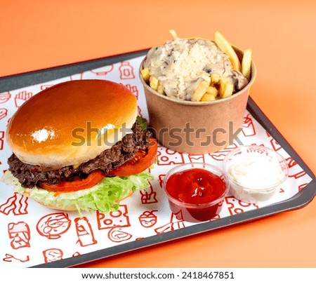 Hamburger varieties on a blue and red background tray