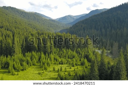Drone view above Lotru valley. Lotru river flowing along wild coniferous forests through green pastures. Parang mountain peaks are raising impetuous to the clouded sky. Rainy day, Carpathia, Romania Royalty-Free Stock Photo #2418470211