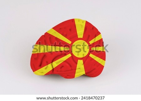 On a white background, a model of the brain with a picture of a flag - Macedonia. Close-up
