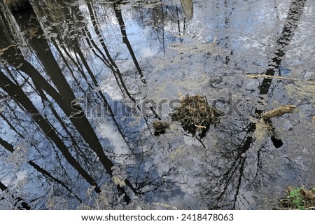 Abstract picture of the reflection of forest trees in the water during a spring flood