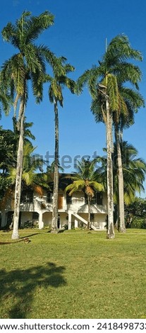 White house surrounded by palm trees in the reverted areas of the Panama Canal area.