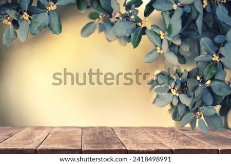 Wooden table and blurred green leaf nature in garden background. Empty wooden table on nature outdoor for free space for product