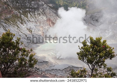 The crater of Tangkuban Perahu, an Active Volcano that famous as vacation object, located in Lembang, Bandung, West Java, Indonesia