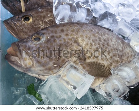 fresh seawater fish with ice sold in supermarkets