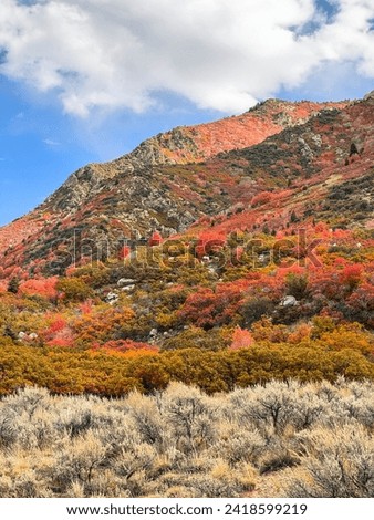 Fall mountain foliage view with bright colors