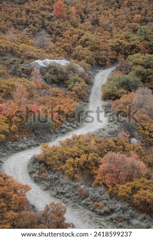 Fall mountain foliage view with bright colors