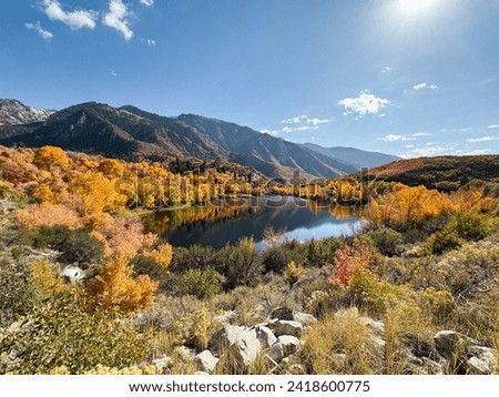 Fall mountain foliage with bright changing leaves and mountain tops