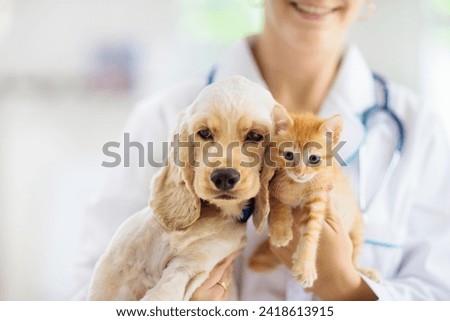 Vet examining dog and cat. Puppy and kitten at veterinarian doctor. Animal clinic. Pet check up and vaccination. Health care for dogs and cats. Royalty-Free Stock Photo #2418613915