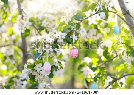 Easter egg hunt. Pastel colored eggs hanging on cherry tree with flowers. Blooming fruit garden. Easter decoration for garden and backyard. Cherry blossom decorated for spring celebration. 
