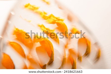 Abstract background of glass reflection of yellow color tulip petals. Macro detail. Floral art picture. Backdrop of invitation postcard. Photoart abstraction. Unusual plant texture. Blurred effect.